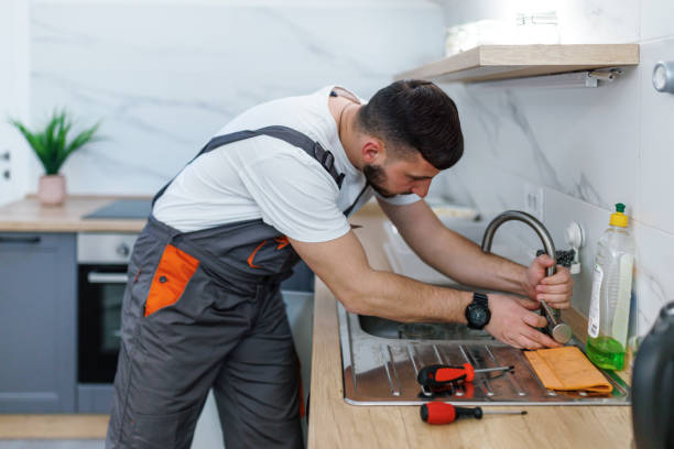 Best Local Plumber Services  in Fort Ashby, WV